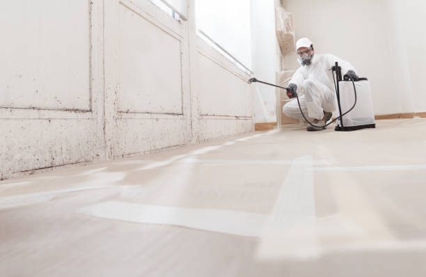 24/7 Emergency Mold Remediation experts in Libertyville, IL