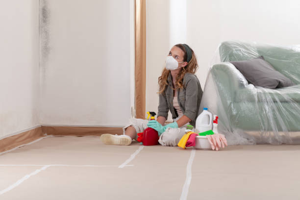 Reliable Mold Remediation contractor in Libertyville, IL by Mold Remediation HQ